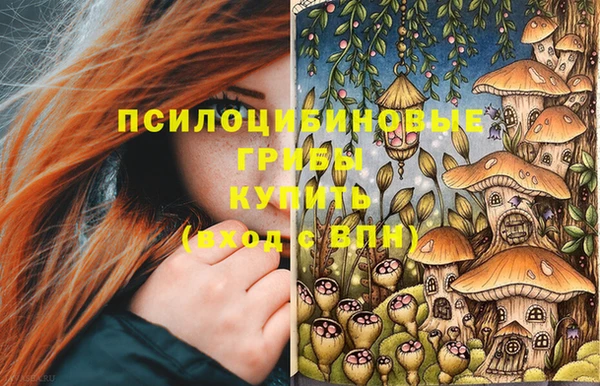 Альфа ПВП Володарск